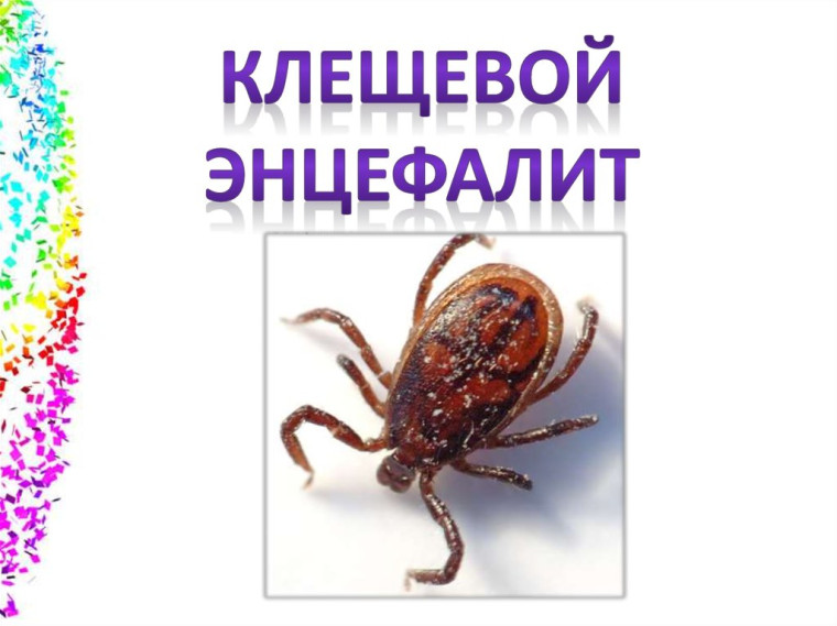 Клещевой энцефалит.